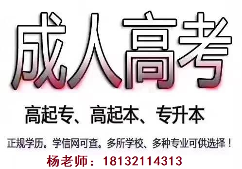 2024年石家庄成人高考报名时间