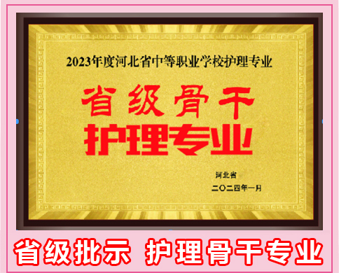 石家庄天使护士学校2025年春季招生吗?